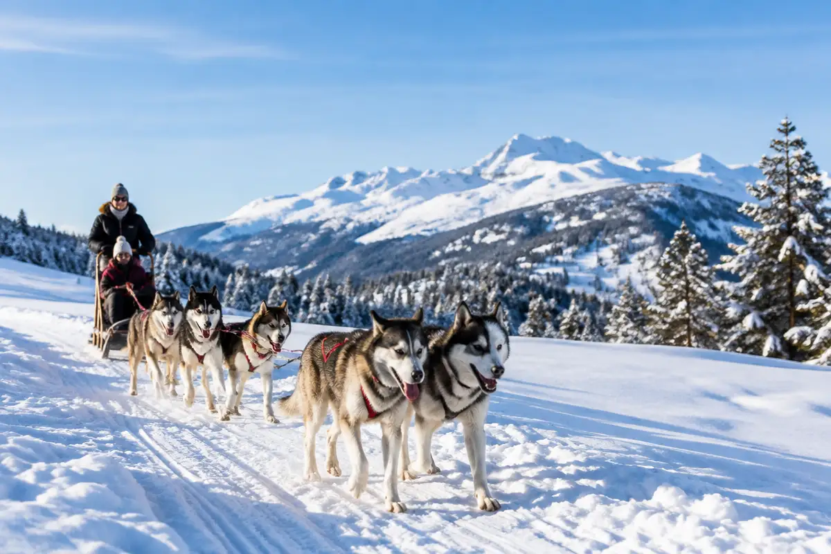 Activités à faire à La Plagne en hiver